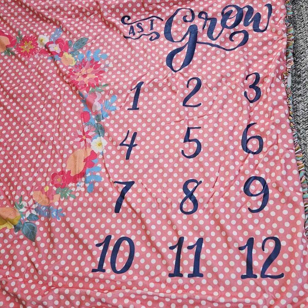 Matilda Jane AS I GROW Blanket Floral Pink Ruffles BABY MONTH PICTURES EUC 60x50 - Picture 3 of 11